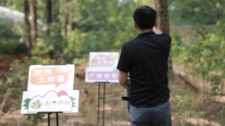  苏宁易购启动818周年庆：创维、海信、TCL、美的四大品牌日坐镇