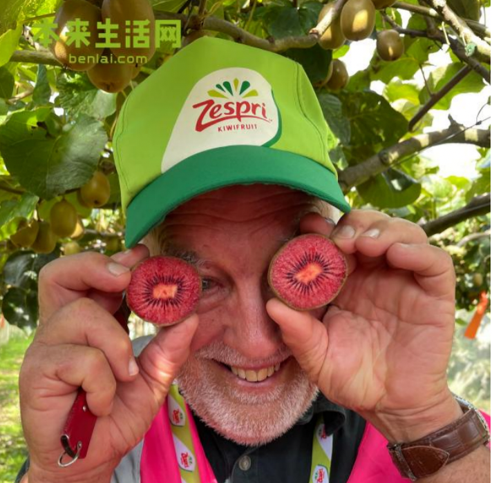  佳沛奇异果2023季采摘在即 本来生活网开启抢“鲜”预售