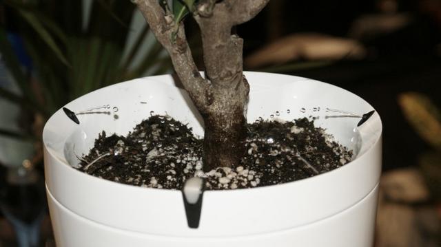 CES上6款超酷的电子产品