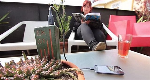 抛弃电源：USB直插盆栽 一株植物充电1.5小时