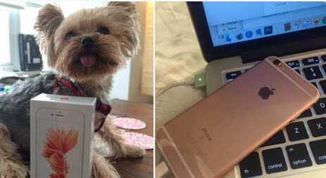 iPhone 6s遭投诉会随机自动关机