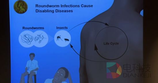 诺贝尔生理或医学奖揭晓 中国科学家屠呦呦获奖