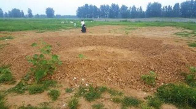 媒体探访“巴铁”生产基地：荒草丛生从未开工