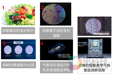 屏幕快照 2016-08-24 下午6.30.53.png