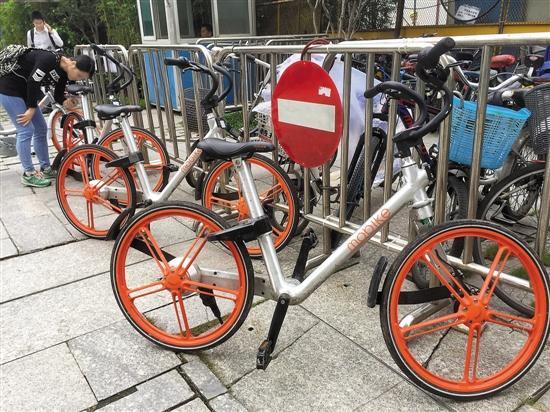 网约单车尴尬：车身贴骗钱二维码 管理靠“猎人”