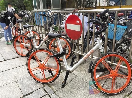 网约单车尴尬：车身贴骗钱二维码，管理靠&ldquo;猎人&rdquo;