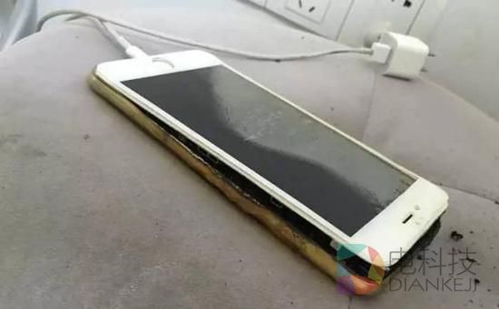 刘女士提供的照片