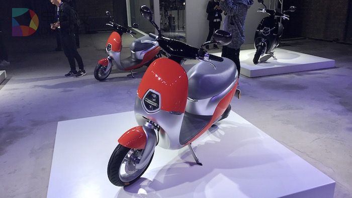 FullSizeRender 13.jpg