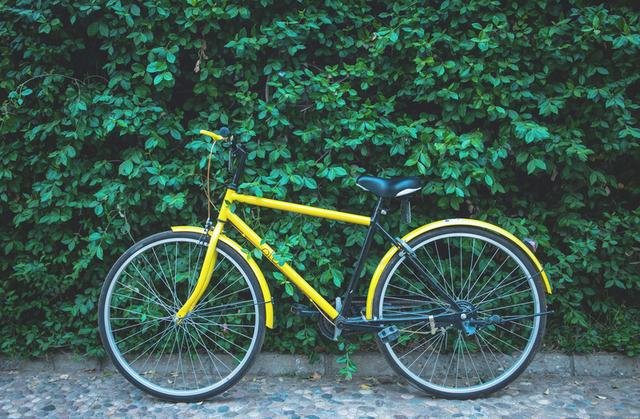 共享单车惹上首起官司 看来以后碰瓷的现象会越来越多