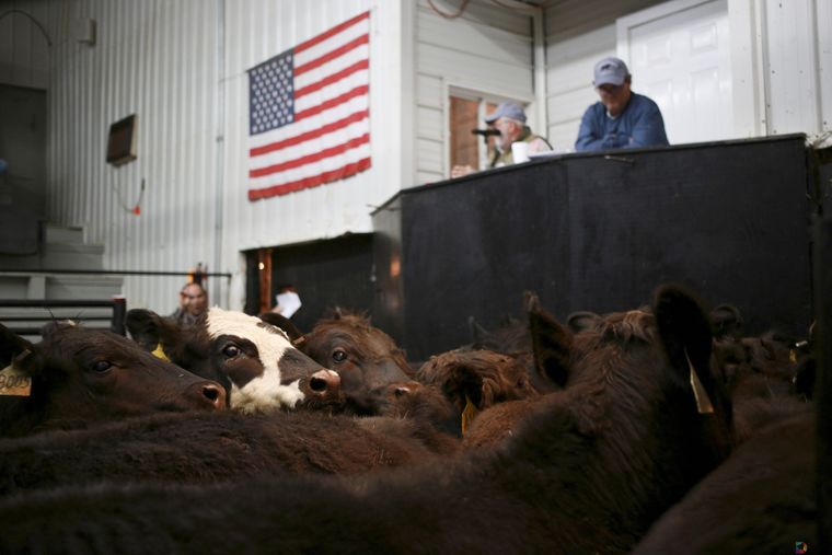 外媒称京东未来三年从美国进口20亿美元农产品