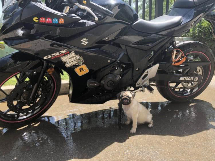 “小偷用货拉拉盗走摩托”嫌疑人落网！失主拒2千元抚慰金拟起诉