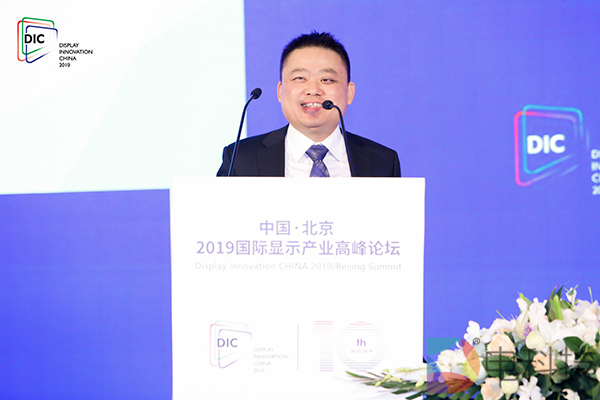 赛迪顾问股份有限公司副总裁 李珂