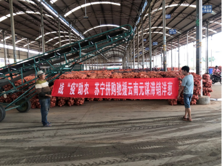 【0421】云南700万出口洋葱滞销，苏宁等电商平台紧急伸出援手(1)892.png
