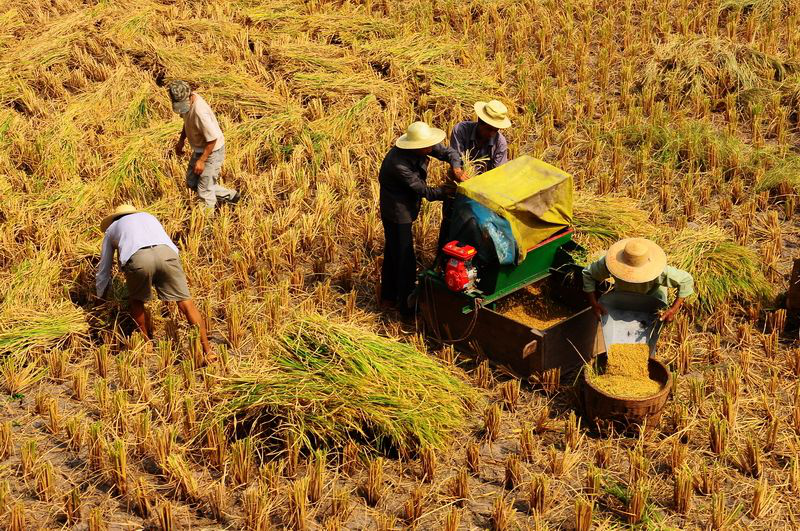  无数外媒都成了“中国吹”！背后都是有原因的，不仅是经济强劲