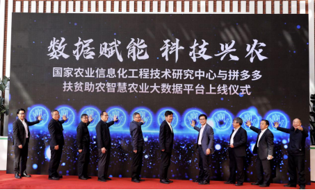 电科技 - 拼多多获奖956.png