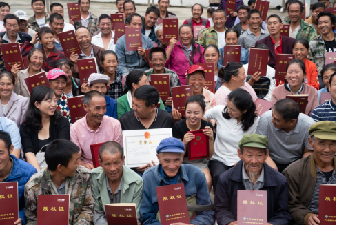 电科技 - 拼多多获奖771.png