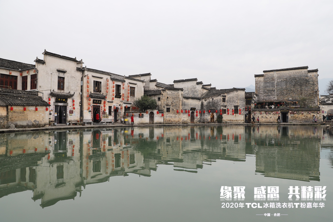 TCL冰箱洗衣机T粉嘉年华 (8).png