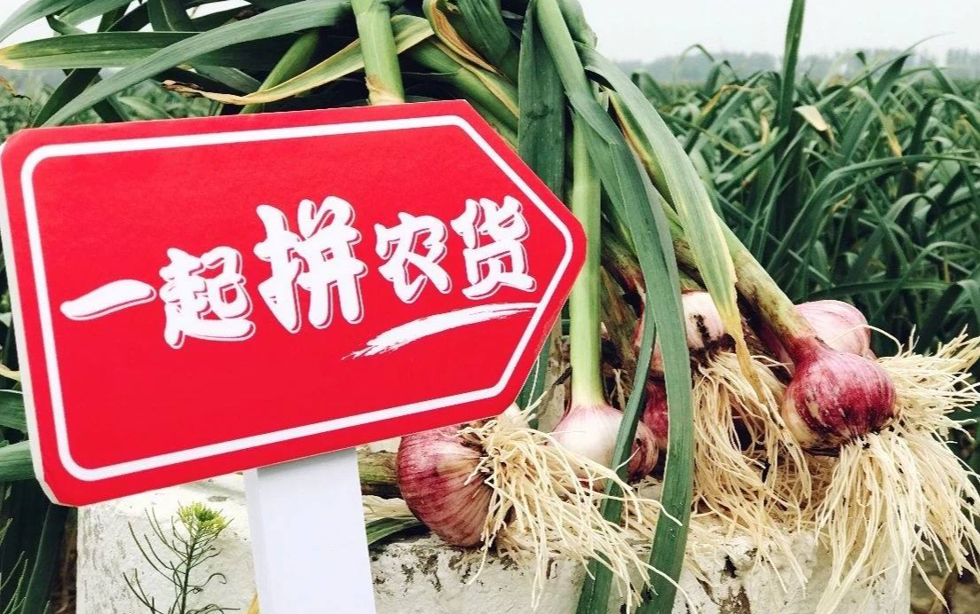 农产品上行助力中国脱贫攻坚战，中国电商平台让海外学者另眼相看