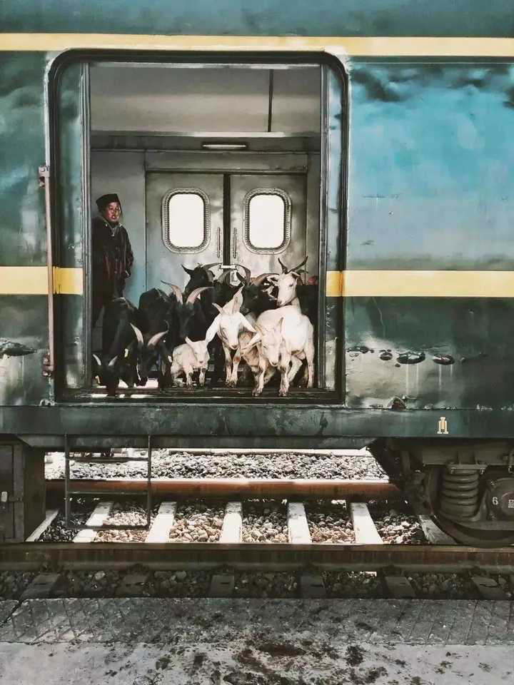 农产品上行助力中国脱贫攻坚战,中国电商平台让海外学者另眼相看