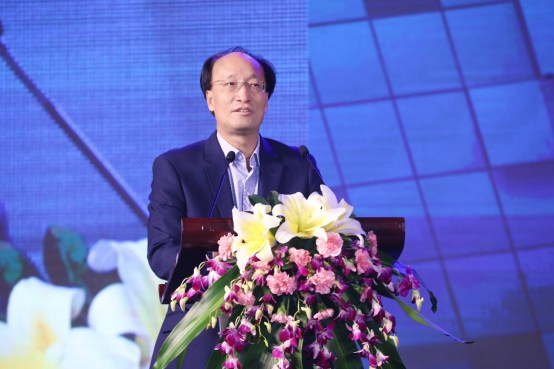 图：中国电子视像行业协会会长 刘棠枝