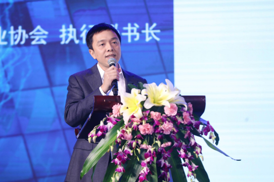 图：中国电子视像行业协会执行秘书长 彭健锋