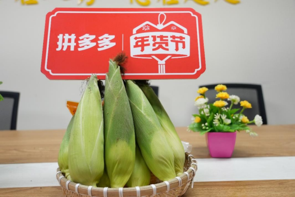  年味去哪了？互联网+精准助农，带回“消失的年味”