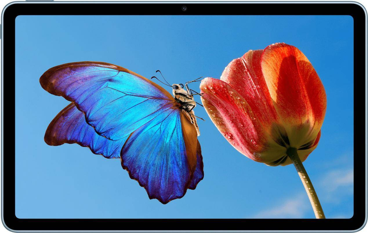 8 MatePad SE.png