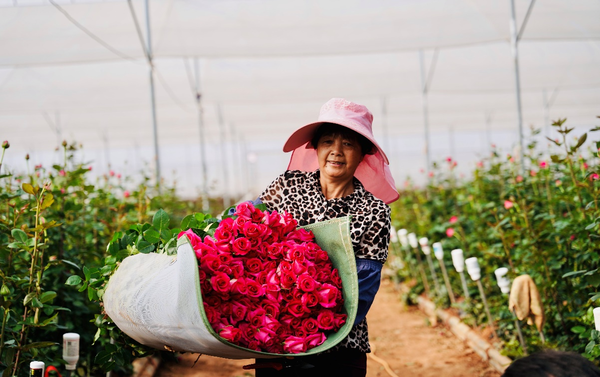  拼多多Q1深化高质量发展战略：加大农业投入，进一步夯实平台基本功