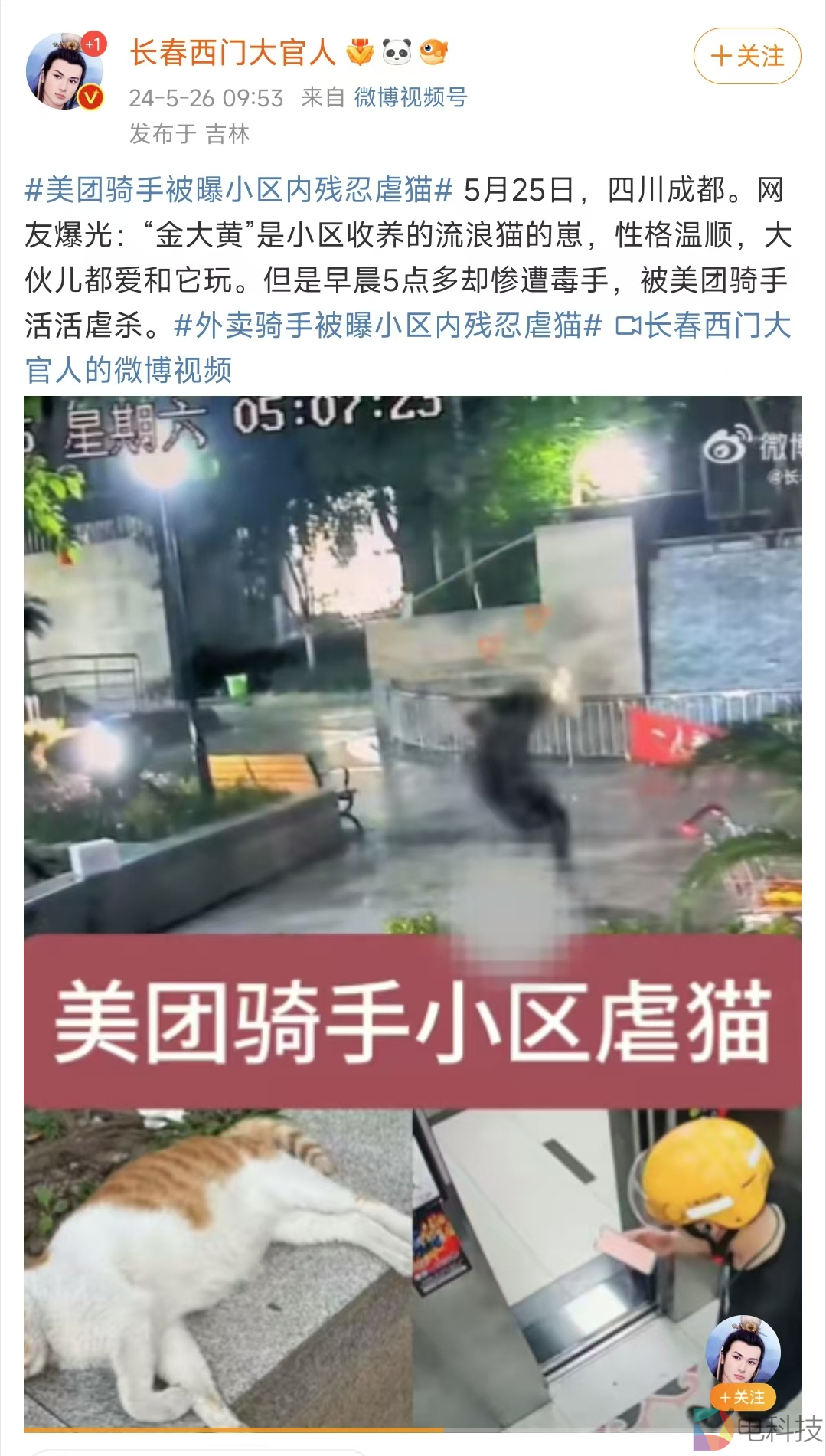 美团骑手再被曝虐猫，谁来保障高压之下外卖员的心理健康问题？