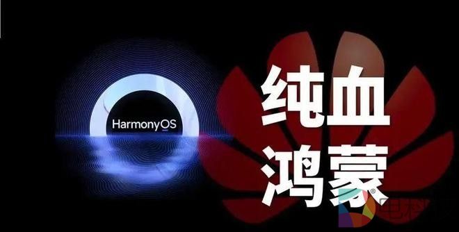 纯血鸿蒙HarmonyOS NEXT将与Mate 70一同发布，移动操作系统今晚变天