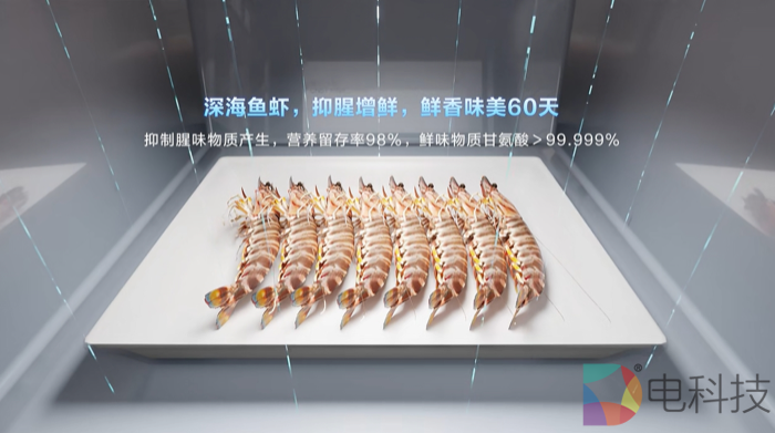 休渔不断鲜！冰箱行业首创磁控冻鲜，升级健康囤鲜体验
