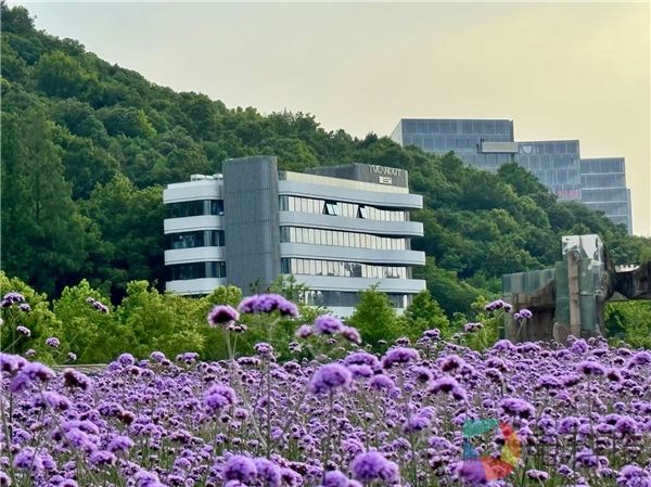 跨境电商下半场，东南亚依旧遍地黄金