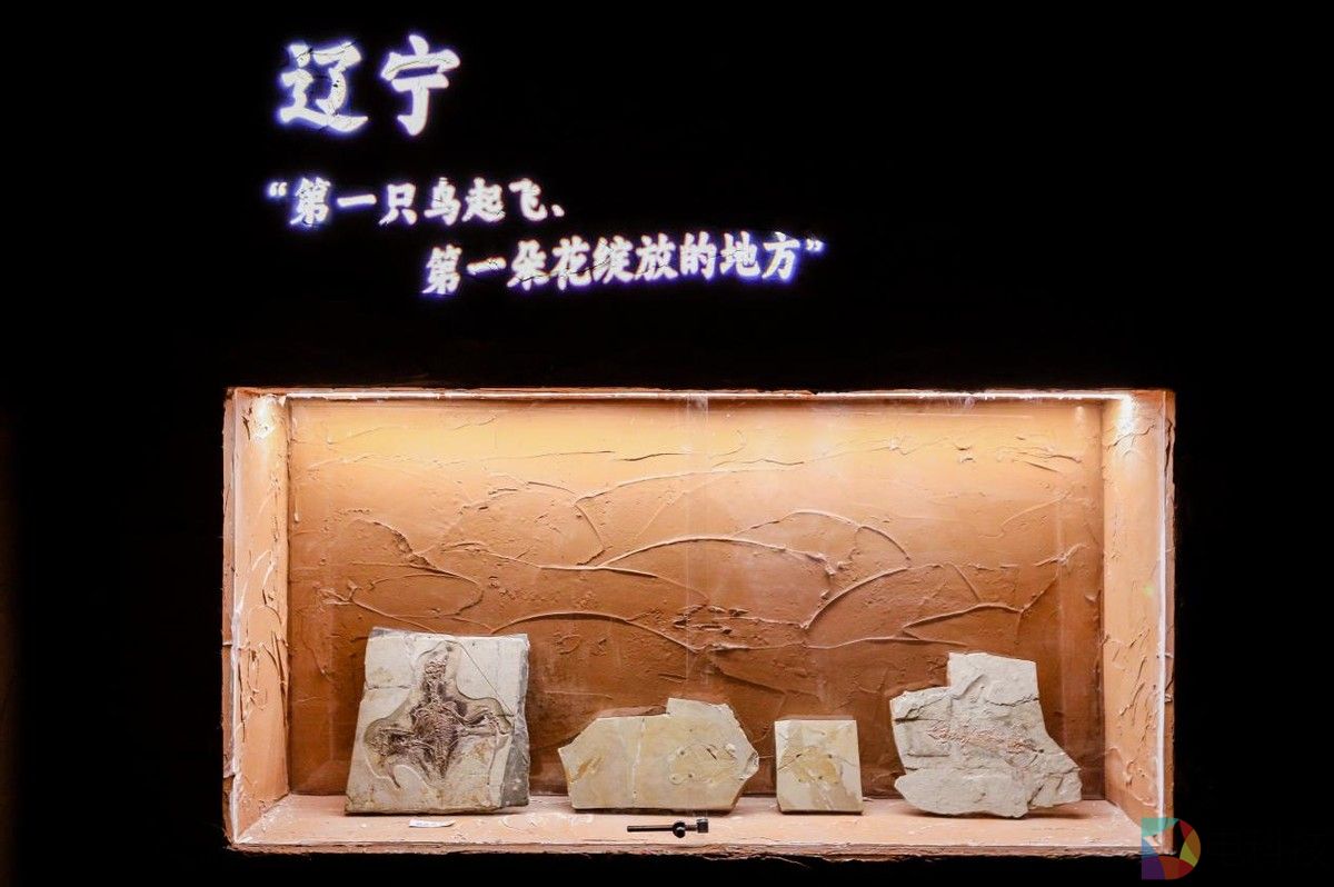 BOE（京东方）打造东北首个沉浸式数字艺术体验空间 科技解码文明释放数字文旅想象力