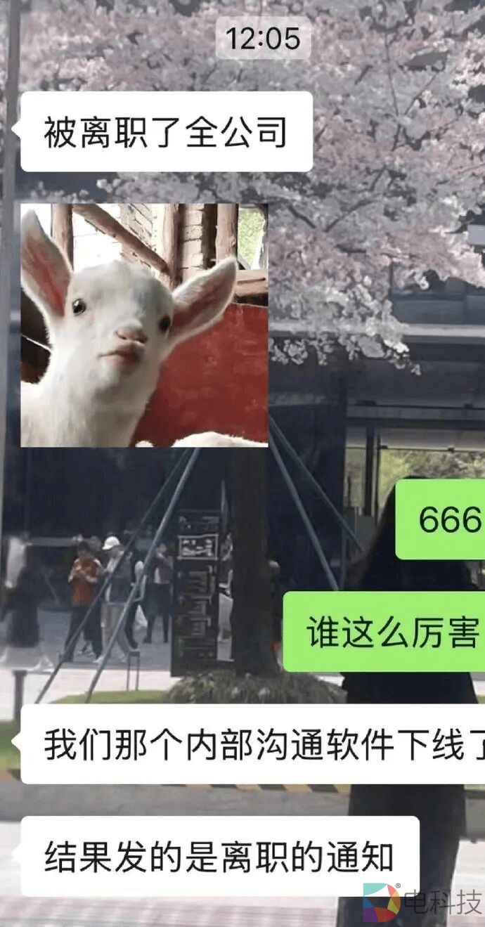 携程内部系统出错，酒店事业部员工遭“全员离职”乌龙