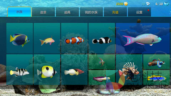 养鱼，梦幻水族，和游戏