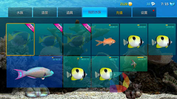 养鱼，梦幻水族，和游戏
