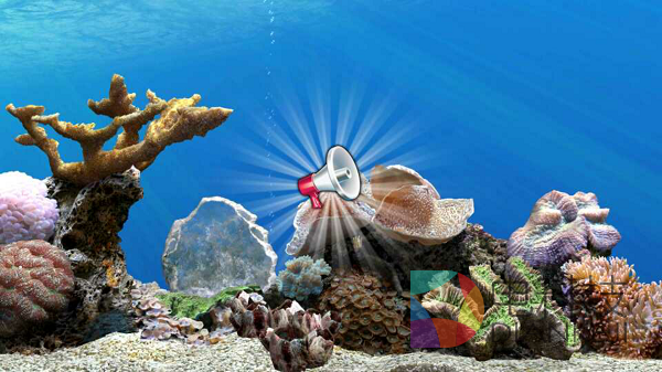 养鱼，梦幻水族，和游戏