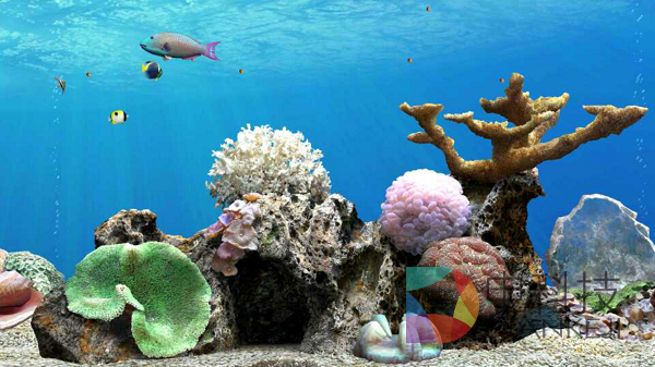 养鱼，梦幻水族，和游戏