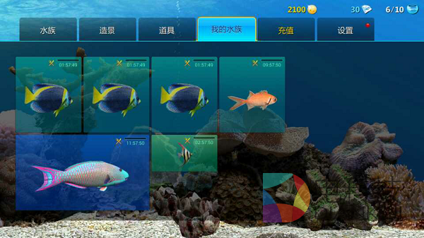 养鱼，梦幻水族，和游戏