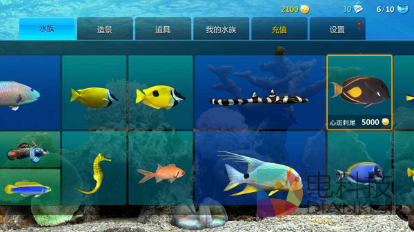 养鱼，梦幻水族，和游戏