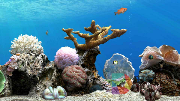 养鱼，梦幻水族，和游戏