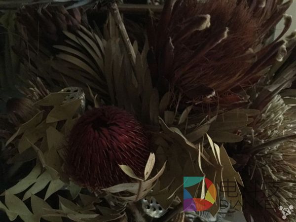 iPod touch 6，拍照，iPhone 6