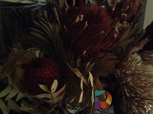 iPod touch 6，拍照，iPhone 6