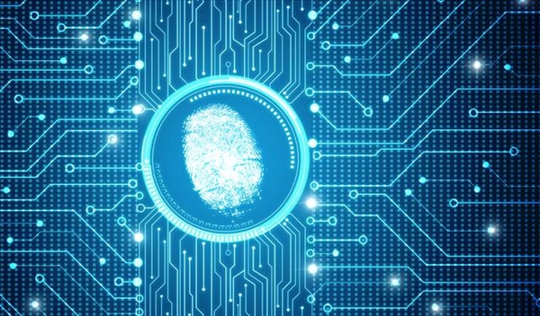指纹遇脱皮就哑火 生物识别谁最靠谱？