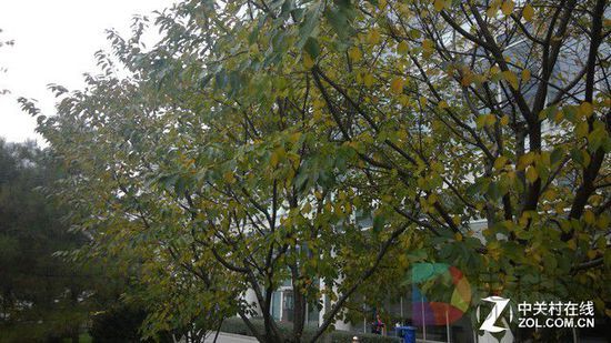 库克已哭 看Surface Pro 4暴打iPad Pro