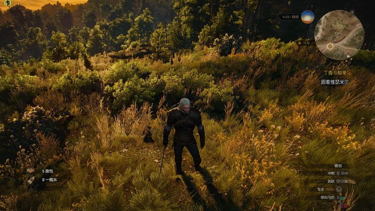 witcher3 2015-12-01 17-19-31-54.jpg