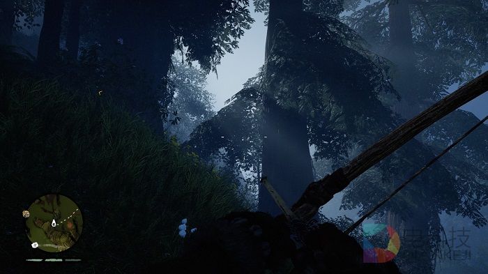 全境封锁,孤岛惊魂：原始杀戮,育碧