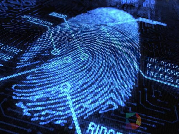 前边爽还是后边爽？彻底看懂手机指纹识别