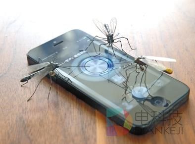 手机软件驱蚊究竟靠不靠谱？