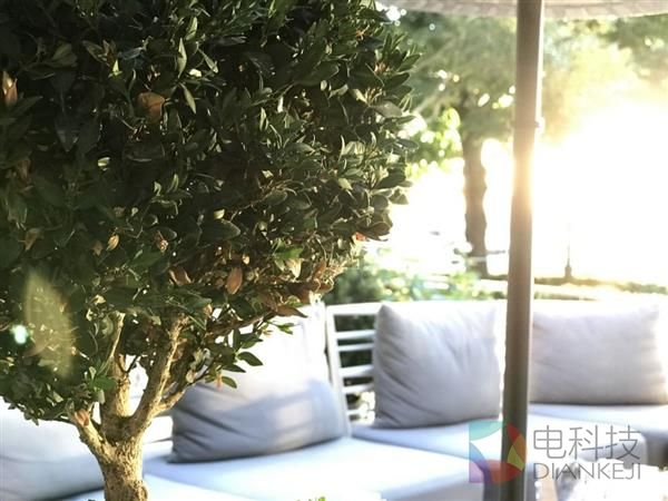 低光下 iPhone 7 Plus长焦镜头为何无法工作?